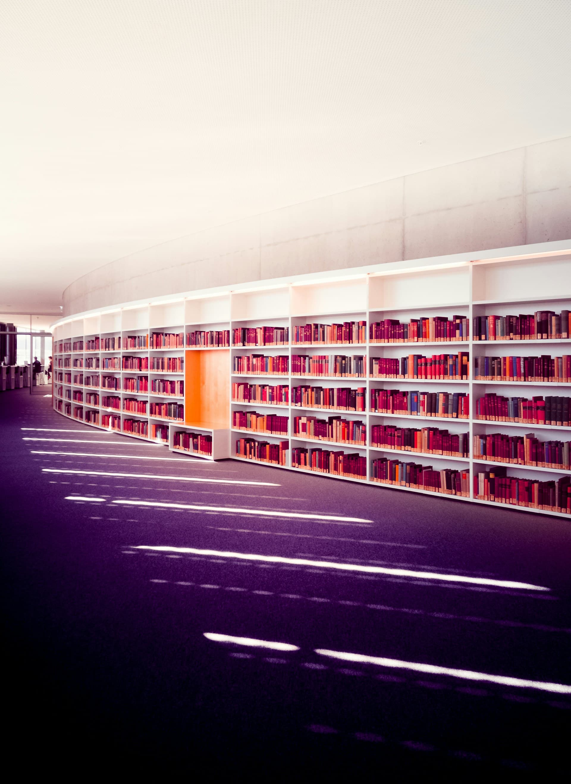 Bookshelves in a big library | made by Martin adams